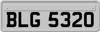 BLG5320