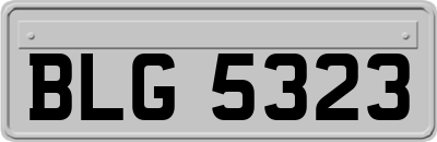 BLG5323