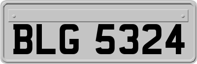 BLG5324