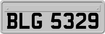 BLG5329