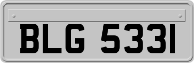 BLG5331