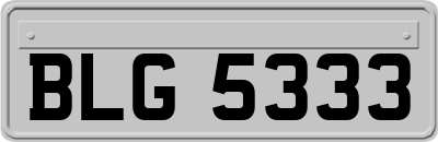 BLG5333