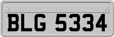 BLG5334
