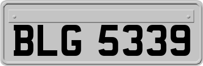 BLG5339