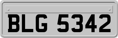 BLG5342