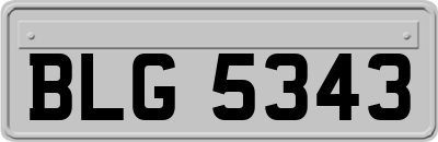 BLG5343