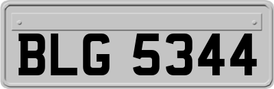 BLG5344