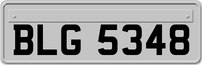 BLG5348