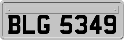 BLG5349