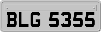 BLG5355