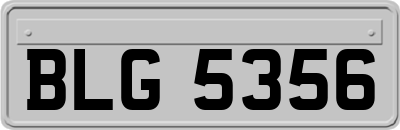 BLG5356
