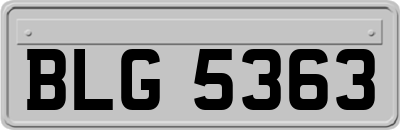BLG5363