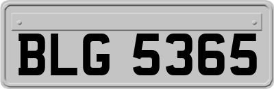 BLG5365