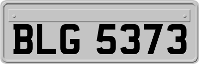 BLG5373