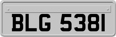 BLG5381