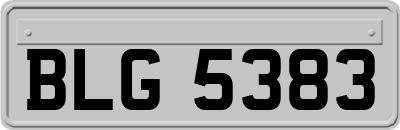 BLG5383