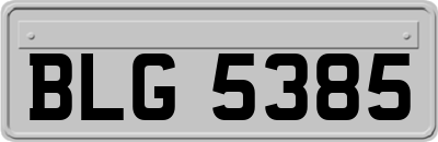 BLG5385