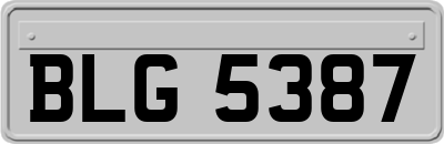BLG5387
