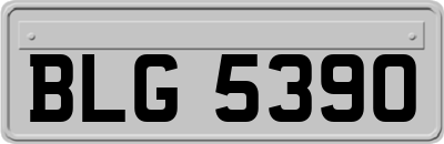 BLG5390