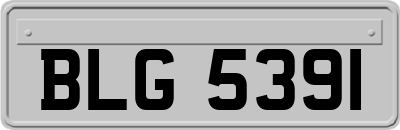 BLG5391