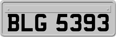 BLG5393