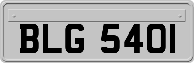 BLG5401