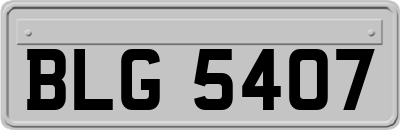 BLG5407