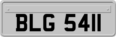 BLG5411