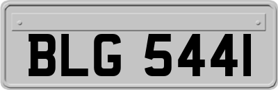 BLG5441