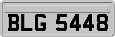 BLG5448