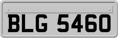 BLG5460