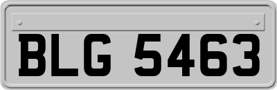 BLG5463