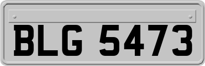 BLG5473