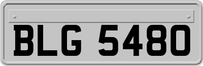 BLG5480