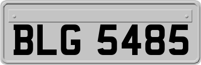 BLG5485