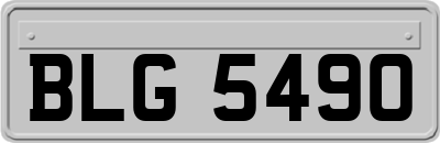 BLG5490