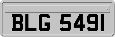 BLG5491