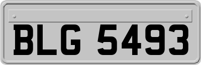 BLG5493