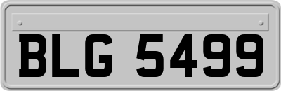 BLG5499