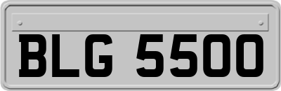 BLG5500