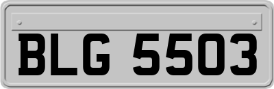 BLG5503
