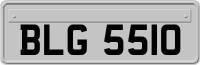 BLG5510
