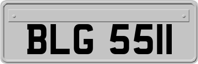 BLG5511
