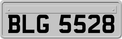 BLG5528
