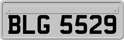 BLG5529