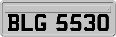 BLG5530