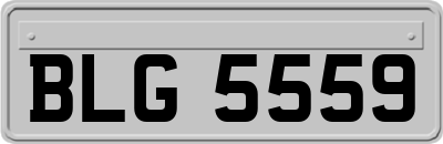 BLG5559