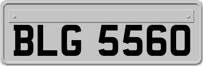 BLG5560