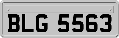 BLG5563