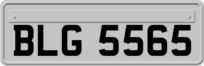 BLG5565